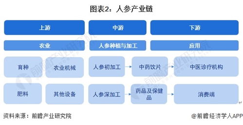 2024年中國人參行業(yè)全景圖譜 市場現(xiàn)狀、競爭格局與AI賦能的開發(fā)趨勢